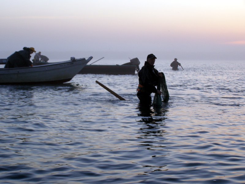 Pescatori all'alba