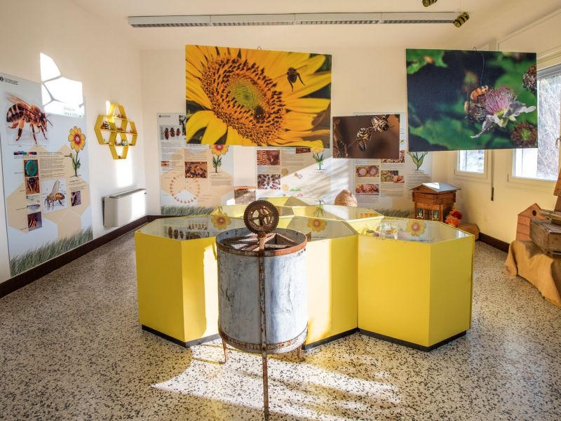 Museo delle api centro di apicoltura di Ca' Cappellino