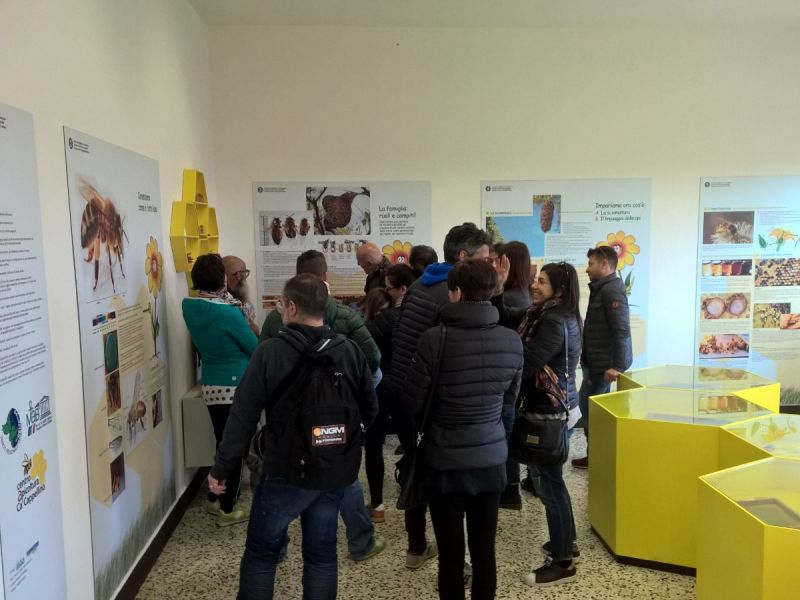 Bienenmuseum im Bienenzucht-Zentrum in Ca' Cappellino